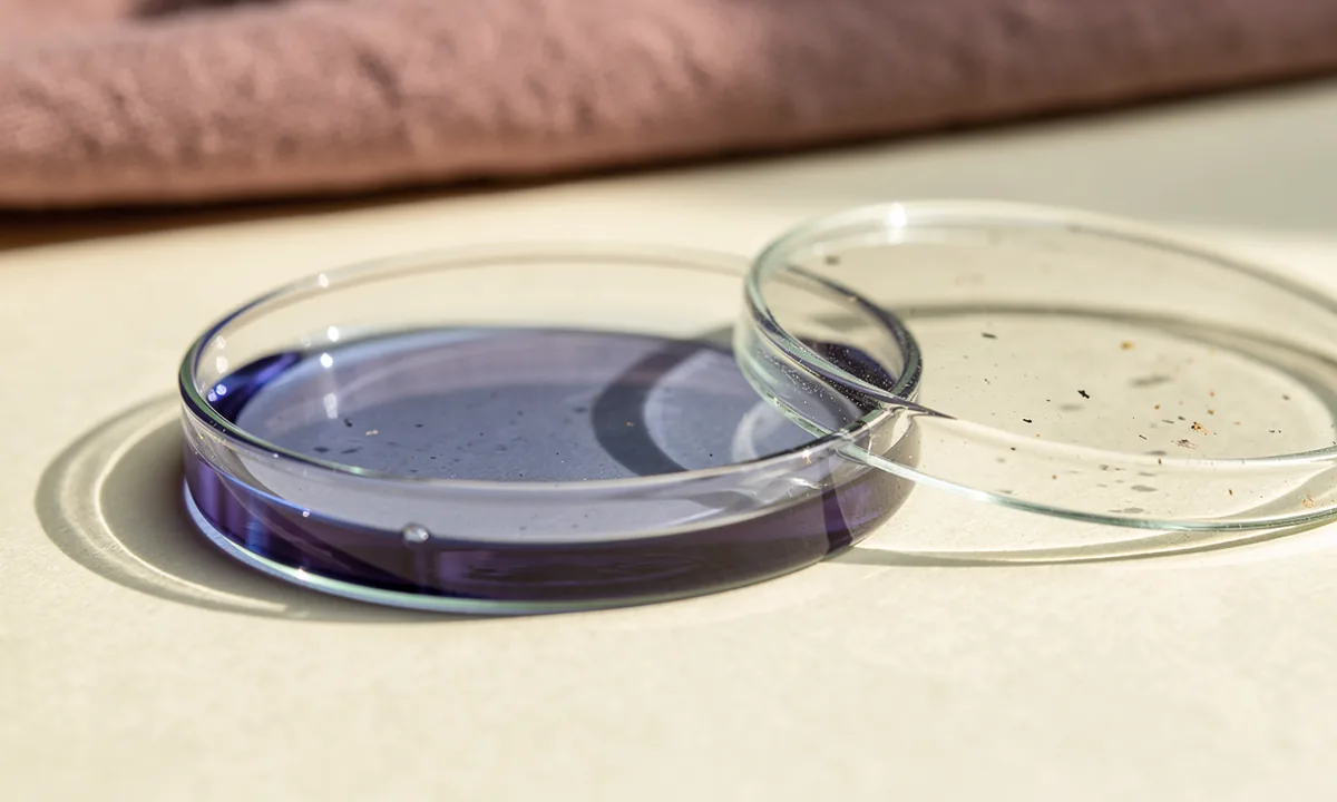 Blue-violet liquid in an open watch glass beside clear glass on cream paper